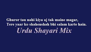 Ghuror tau nahi kiya | Attitude shari | 2 line poetry