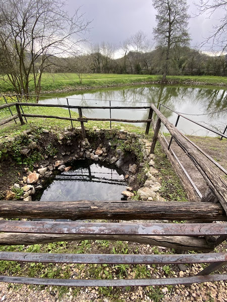 Villa Selvatico a Battaglia Terme Colli Euganei