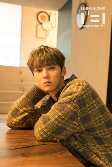 Hwang MinHyun, Biodata hwang minhyun, Profil hwang minhyun, Hwang minhyun profile, Fakta hwang minhyun, Foto hwang minhyun, 황민현,