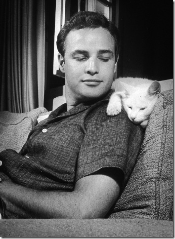 boys cats2