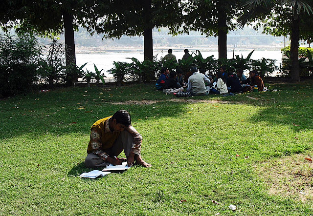 boy studying on lawn