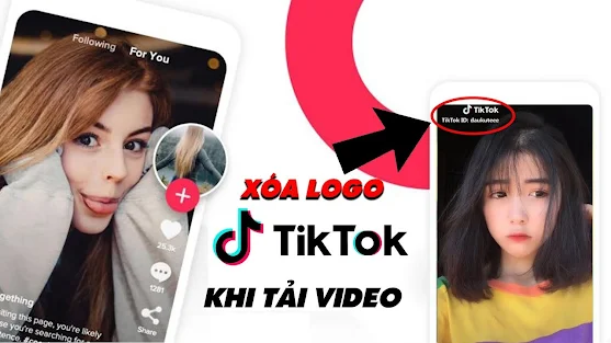 tải video tiktok không logo