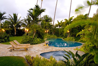 Tropical Backyard Garden