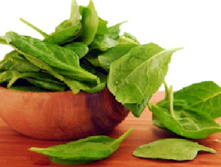 Benefits of Plant Spinach For Health Body