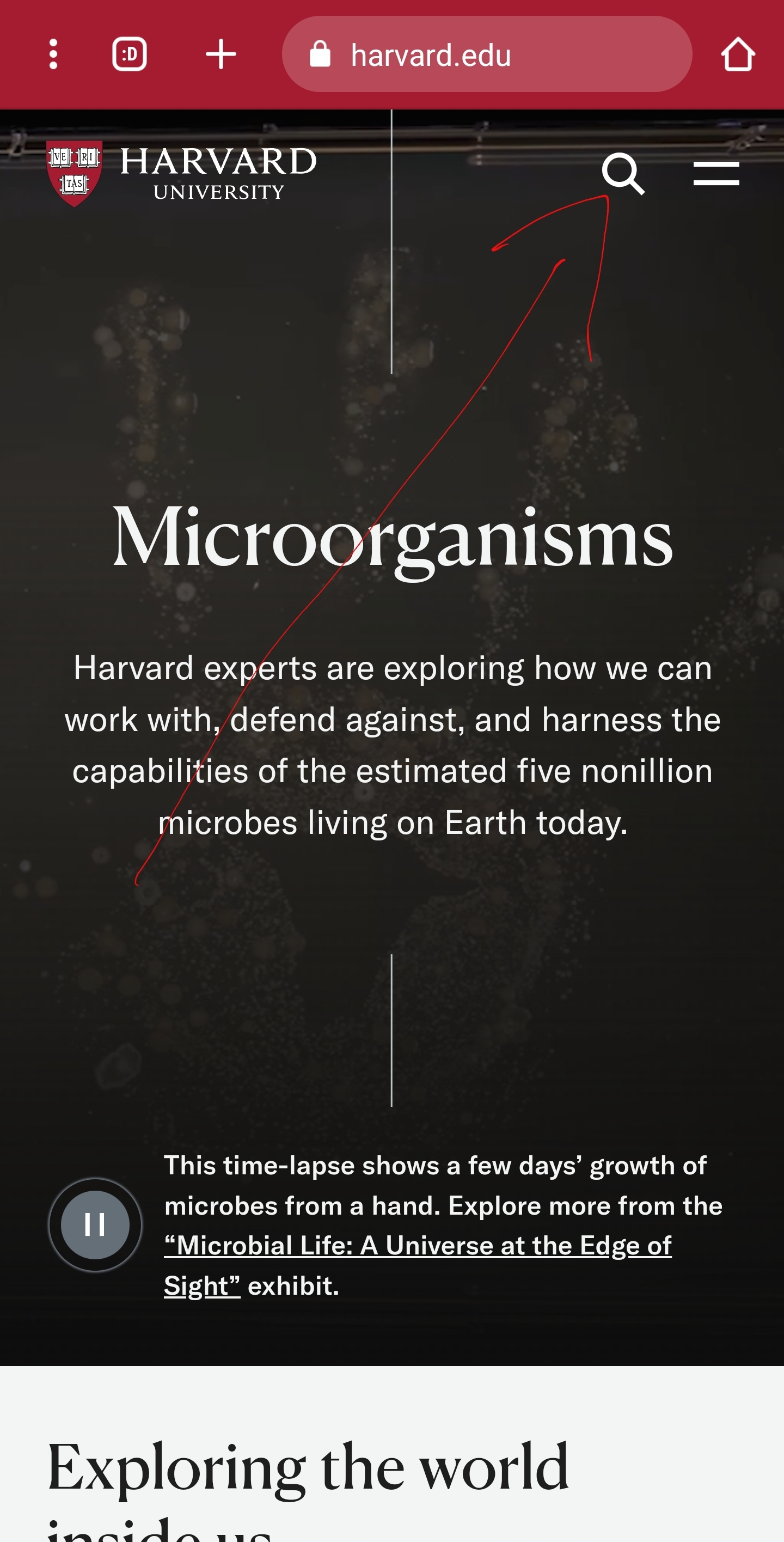 البحث في جامعة هارفارد