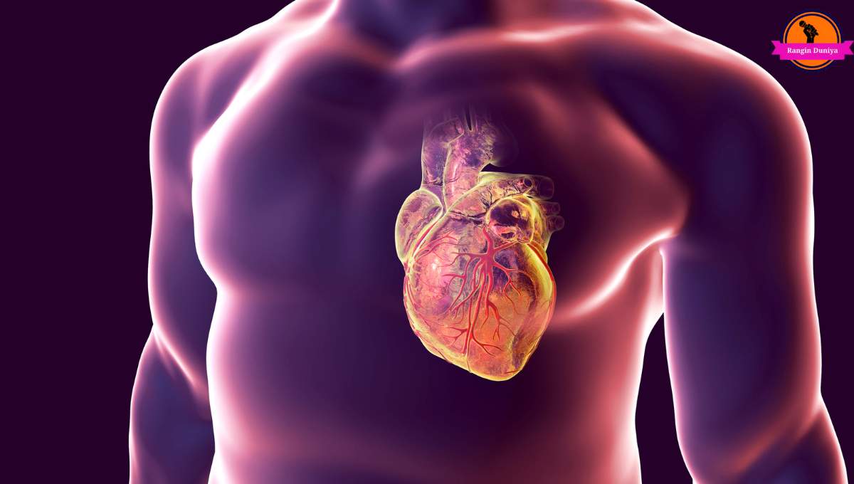हृदय रोग पीड़ित है तो रोजाना करें ये 7 काम, और जिये बिंदास जिन्दगी