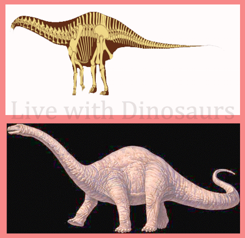 Apatosaurus Dinosaur 