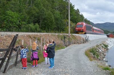 DSC_0028 DSC_0028