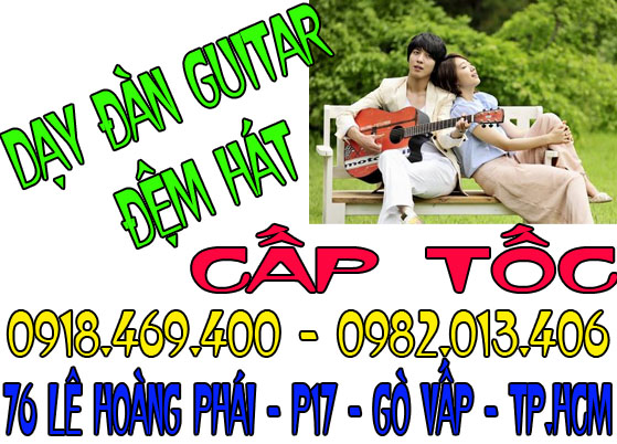 day dan guitar 4