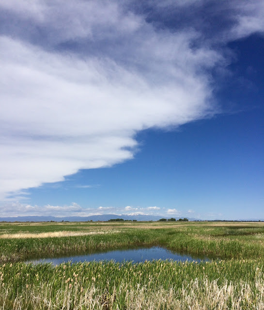 Alamosa National Wildlife Refuge