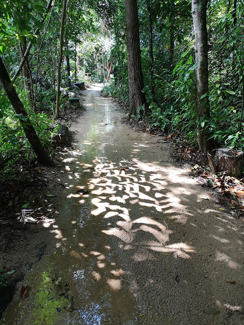 nature trail