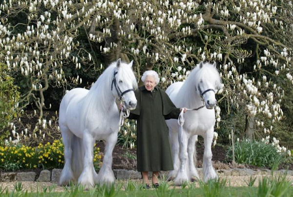 Royaume-Uni : « Joyeux anniversaire ! » La reine Elizabeth II fête ses 96 ans dans l'intimité