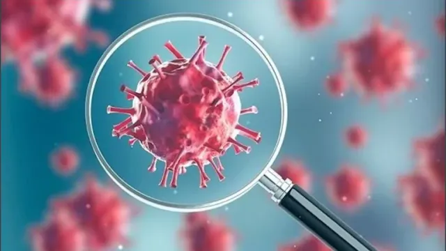 Coronavirus cases in Saudi Arabia on 29th October 2020 - Saudi-Expatriates.com