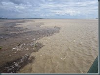 Encontro das águas entre os rios Solimões e Negro. (8)