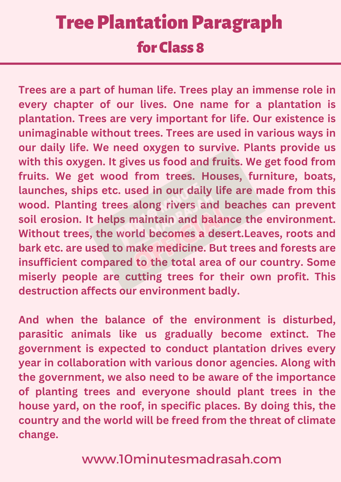 Tree Plantation Paragraph for Class 8 Students