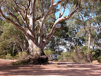 Burra Creek