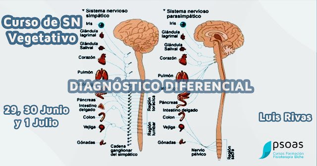 curso de diagnóstico diferencial vegetativo luis rivas