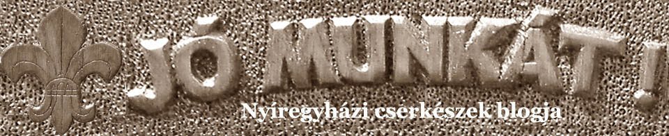 nyircserblog