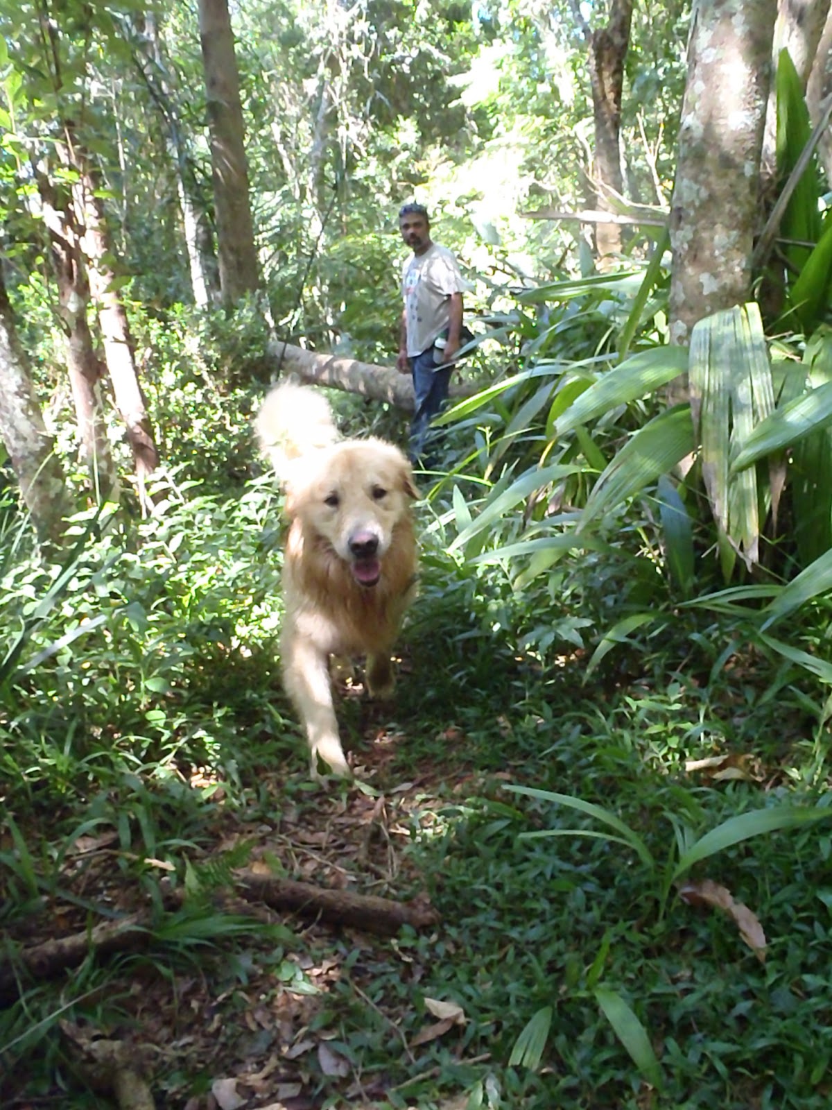 Trekking 3 (80)