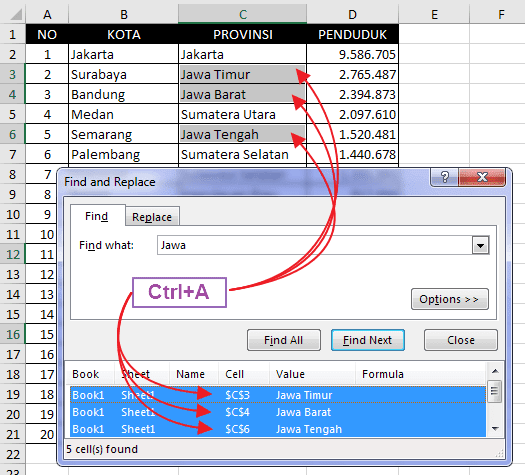 Cara Menggunakan Fitur Find And Replace Excel (Bagian 1)