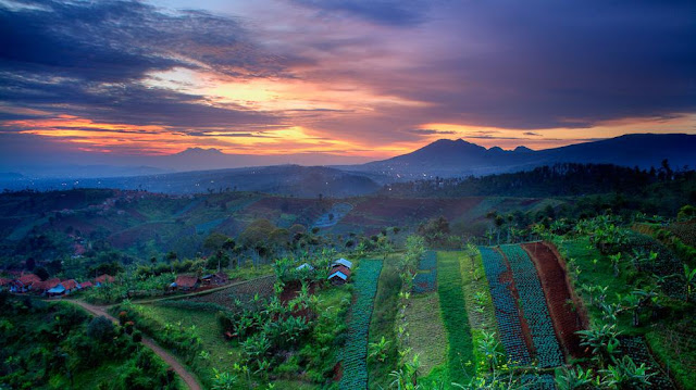 PROGRAM TERAPI PIKIRAN POSITIF