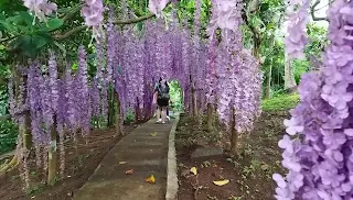 The Gingerbread House travel Cavite