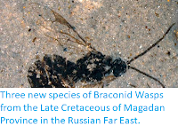 http://sciencythoughts.blogspot.co.uk/2012/06/three-new-species-of-braconid-wasps.html