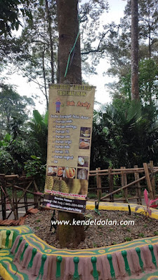 Kebun Durian Cahaya Baru Pak Andy