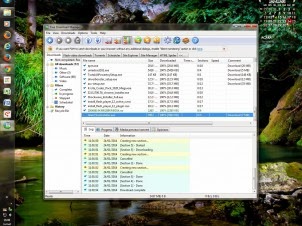 Download Software Free Download Manager Latest