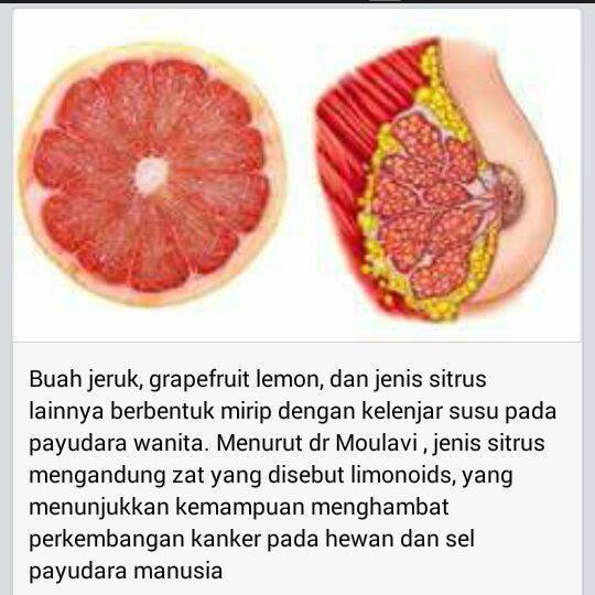 Buah Jeruk yang menyerupai Kelenjar Susu