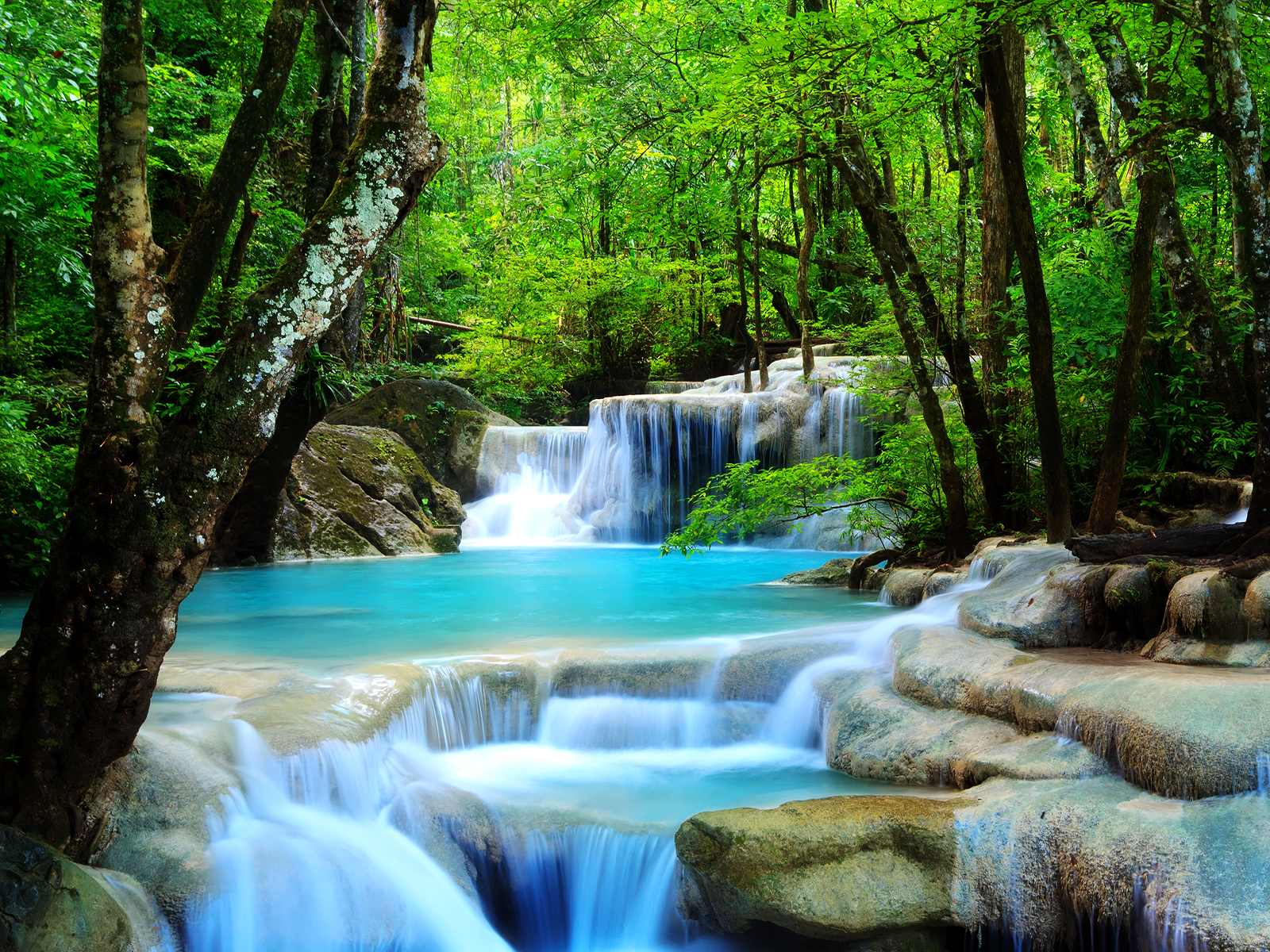 URL: http://thelonggoodbye.wordpress.com/2012/10/01/forest-waterfall ...