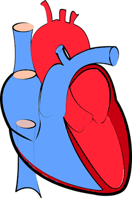 Understanding Heart Attacks: Symptoms, Causes, and Treatment Options