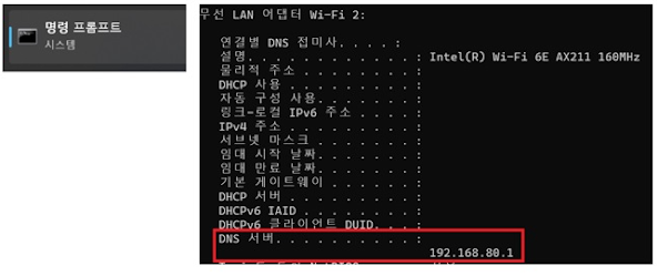 Windows 시작에서 명령 프롬프트를 실행하고 ipconfig/all을 입력하고 엔터 키를 누릅니다, 사용자 PC의 DNS 주소를 확인합니다