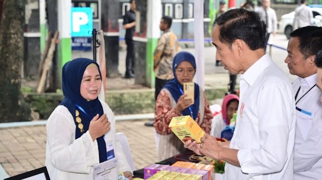 Presiden Dorong Keuntungan Usaha untuk Investasi Kembali