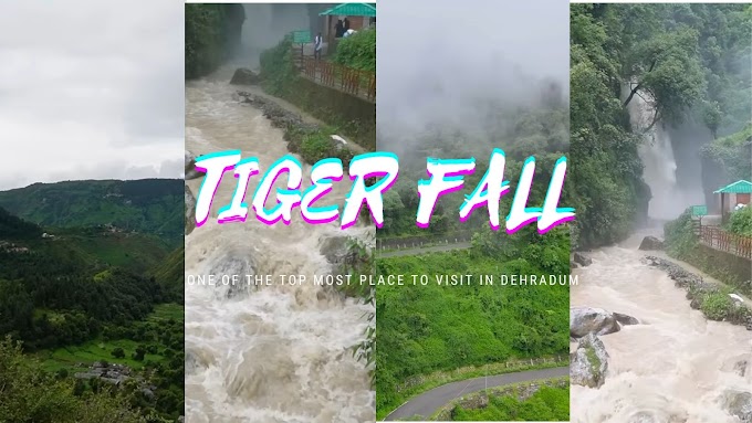 Tiger Fall Chakrata Dehradun | India's Highest Straight Waterfall | Haven in Chakrata