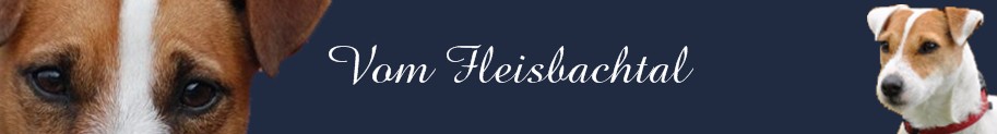 Vom Fleisbachtal news