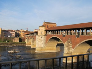 IMG_3371