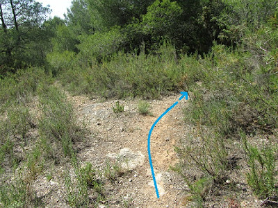 ROCA FORADADA - SALT DEL MISERI - FONDO DEL SETRILL - URBANITZACIÓ EL PRIORAT DE LA BISBAL DEL PENEDÈS, corriol a la Quadre del Mainer - La Bisbal del Penedès