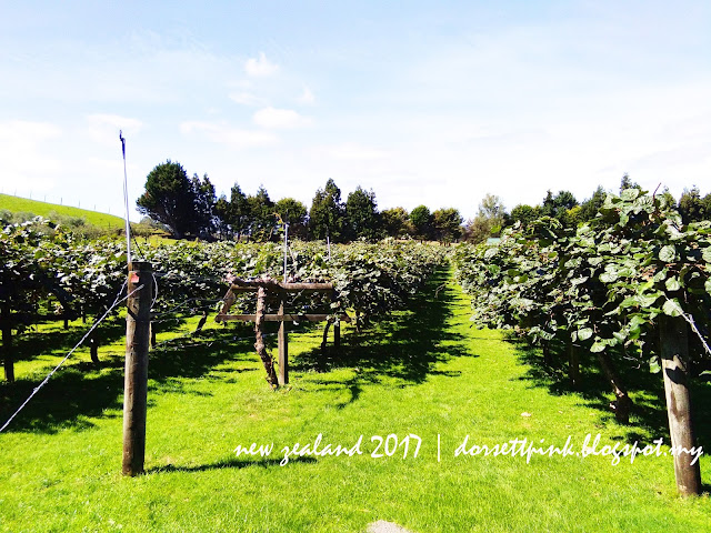 http://dorsettpink.blogspot.com/2017/04/travelog-new-zealand-2017-agrodome.html