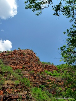 P1060073
