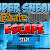 Super Sneaky Pirate Room Escape