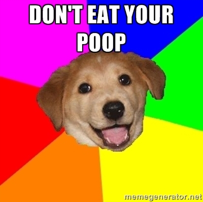 Dog Eats Poop8