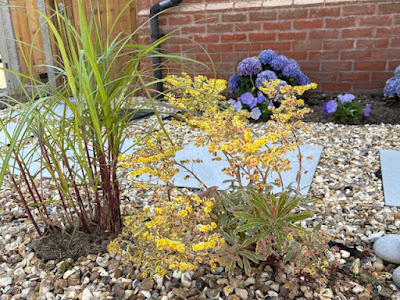 Pebbles in beach themed planted garden