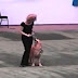 Cão e sua dona dão um show de dança em competição