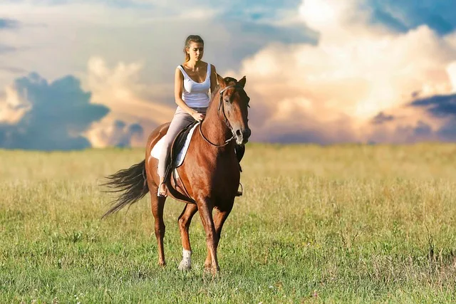 Educating the Horse business concerning connected business Insurance