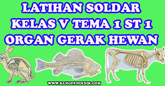 LATIHAN SOLDAR KELAS V TEMA 1 SUBTEMA 1 ORGAN GERAK HEWAN  