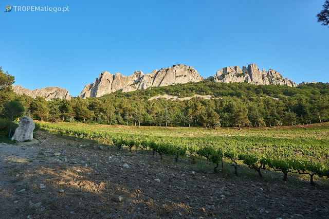 Les Dentelles de Montmirail