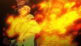 One Piece 火拳のエース Portgas D Ace