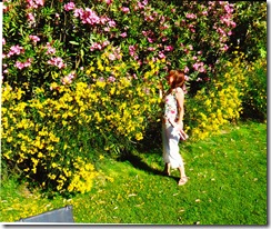 IMG_0011_NEW