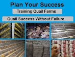 Training Quail Farms